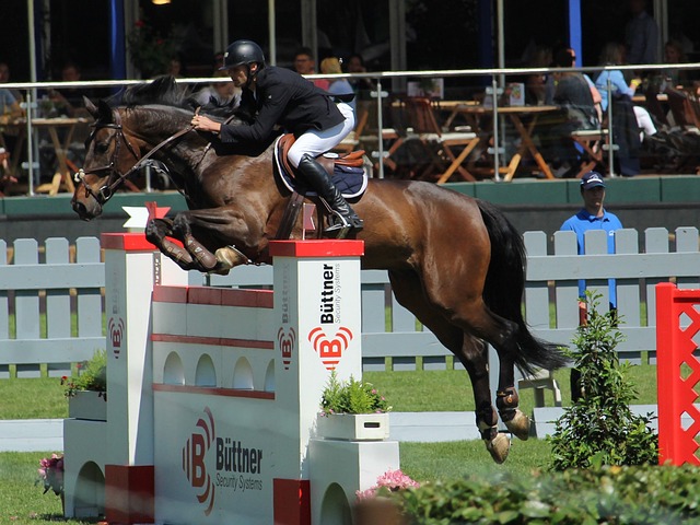 这场比赛的 这场比赛的