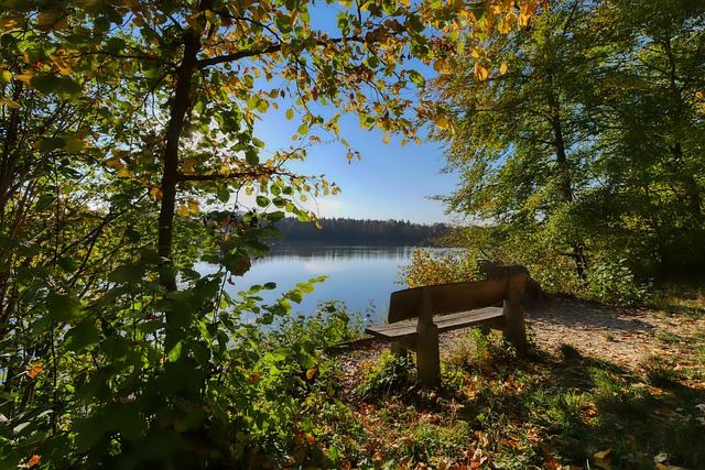 她将如何开 她将如何开