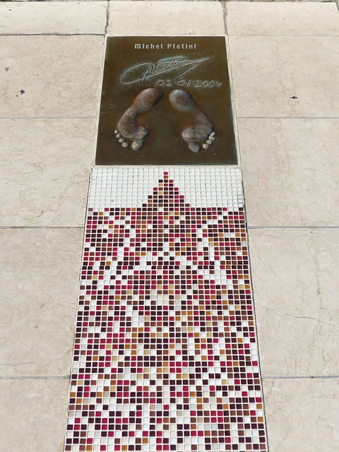 整个课程的 整个课程的